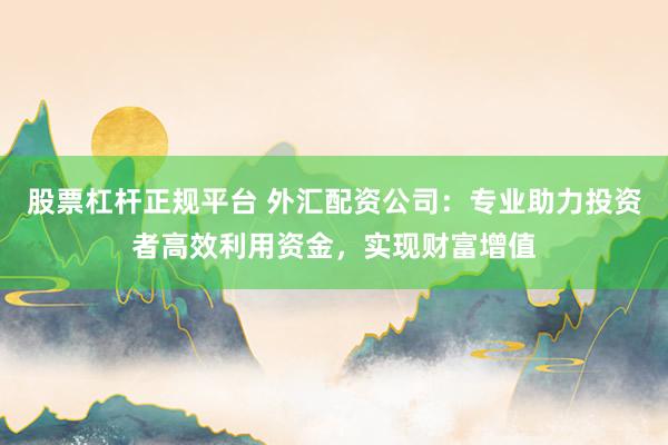 股票杠杆正规平台 外汇配资公司：专业助力投资者高效利用资金，实现财富增值