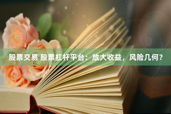 股票交易 股票杠杆平台：放大收益，风险几何？