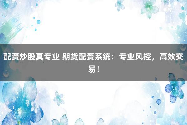 配资炒股真专业 期货配资系统：专业风控，高效交易！