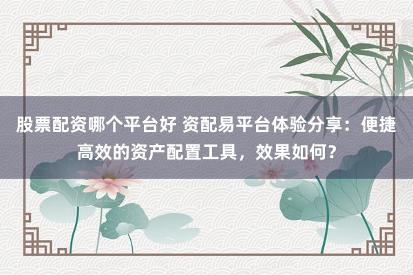 股票配资哪个平台好 资配易平台体验分享：便捷高效的资产配置工具，效果如何？