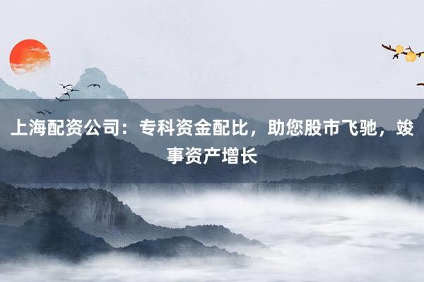 上海配资公司：专科资金配比，助您股市飞驰，竣事资产增长
