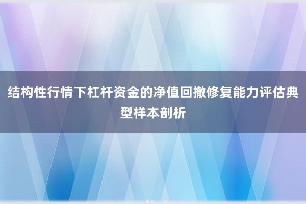 结构性行情下杠杆资金的净值回撤修复能力评估典型样本剖析