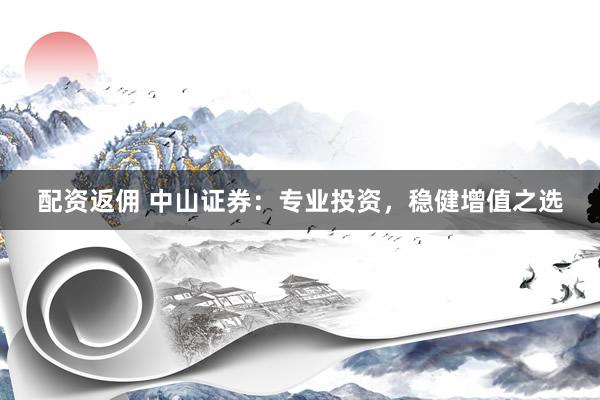配资返佣 中山证券：专业投资，稳健增值之选