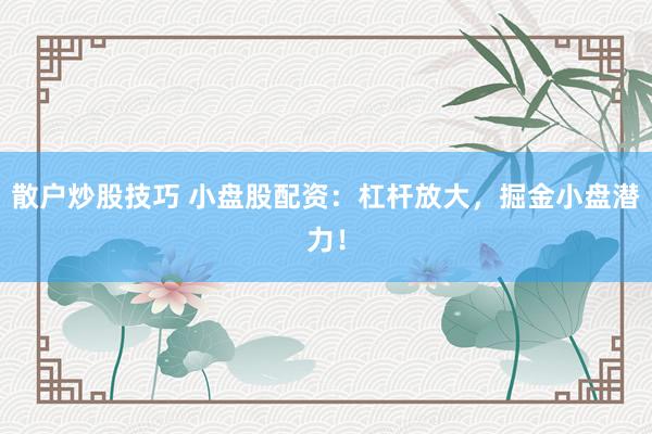 散户炒股技巧 小盘股配资：杠杆放大，掘金小盘潜力！