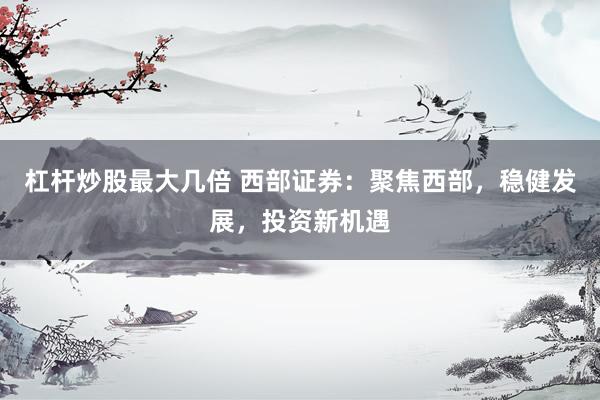 杠杆炒股最大几倍 西部证券：聚焦西部，稳健发展，投资新机遇